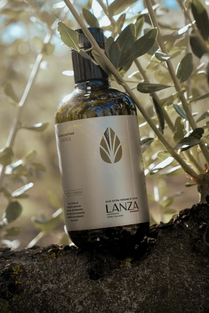 Ortice EVOO bottle by Lanza resting on an olive tree branch